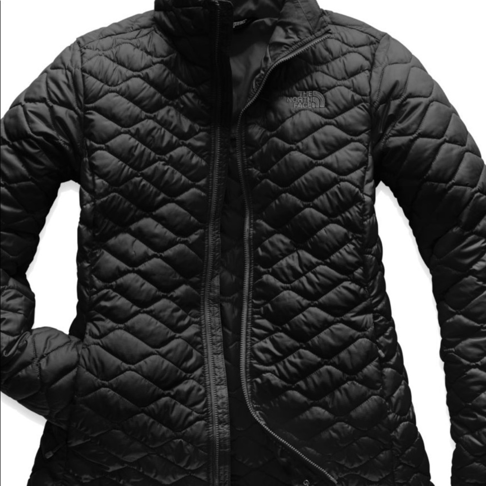 Northface Jacket - image 1